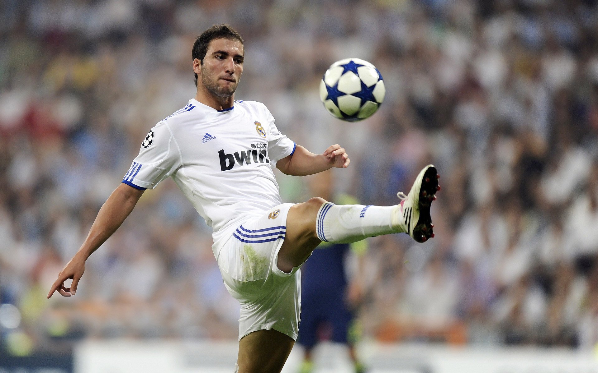 leyuSport-郑钦文刷新里程碑，金州勇士抢七大战力克川崎前锋，晋级概率达95％  第2张